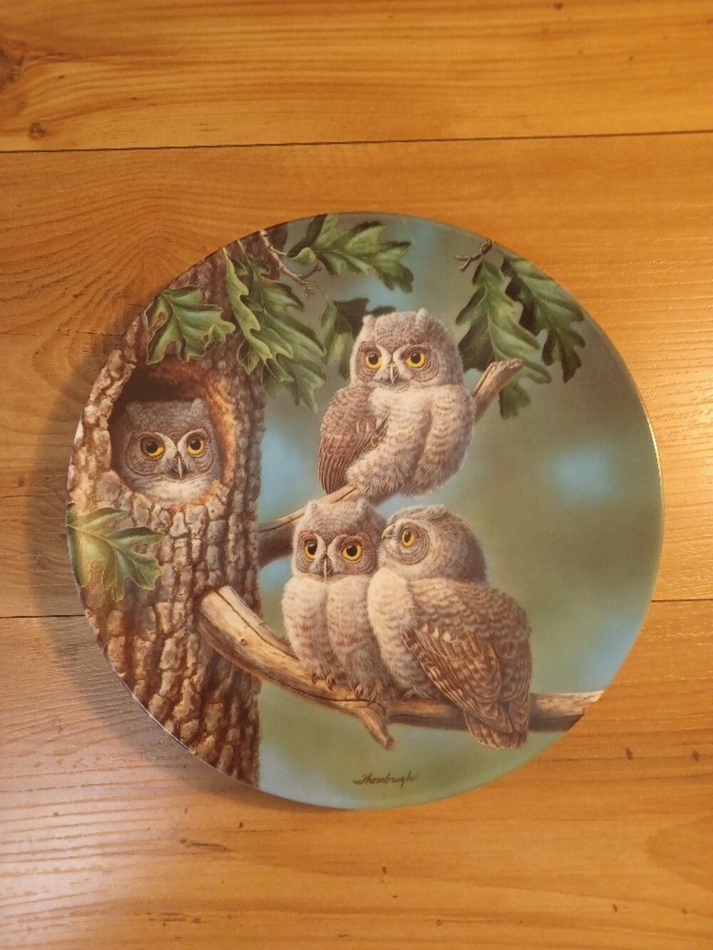 Vintage Peek-A-Whoo Screech Owls Collectors Plate 1991